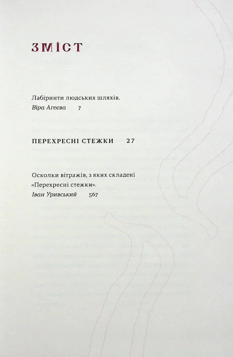 Фото сторінки змісту української книги з лаконічним дизайном — книги українською в Польщі | BookCafe