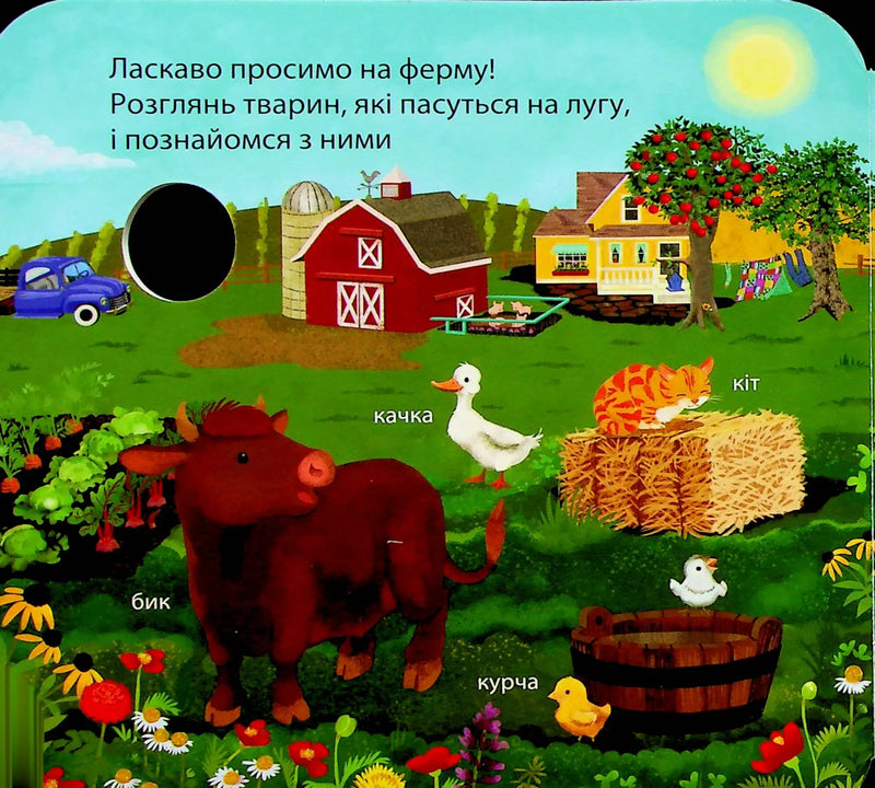Яскрава ілюстрована обкладинка дитячої книжки про ферму з тваринами — дитячі книжки українською | BookCafe