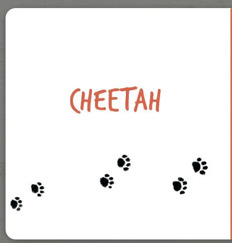 Обкладинка дитячої книжки з написом «CHEETAH» та слідами лап — дитячі книжки українською | BookCafe