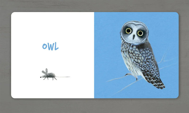 Ілюстрація сови та миші з англійським написом OWL — дитячі книжки українською | BookCafe
