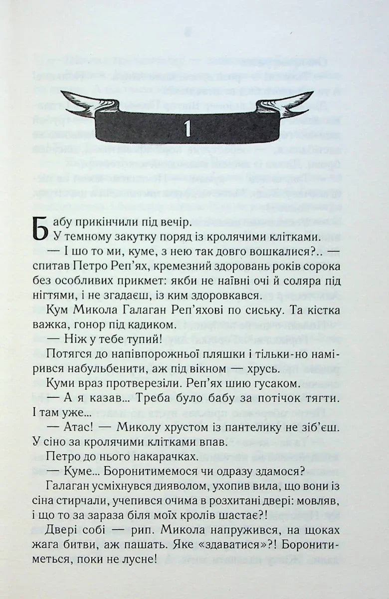 Ілюстрована сторінка української книги з декоративним банером та текстом — українська книгарня онлайн | BookCafe
