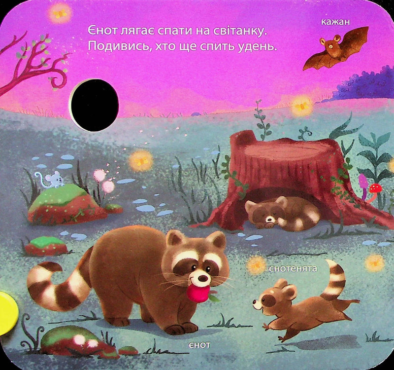 Ілюстрована сторінка дитячої книжки з єнотами та казковим пейзажем — дитячі книжки українською | BookCafe