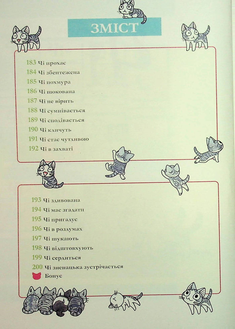 Чі. Життя однієї киці