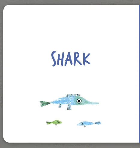 Ілюстрація акули та рибок з написом SHARK — дитячі книжки українською | BookCafe