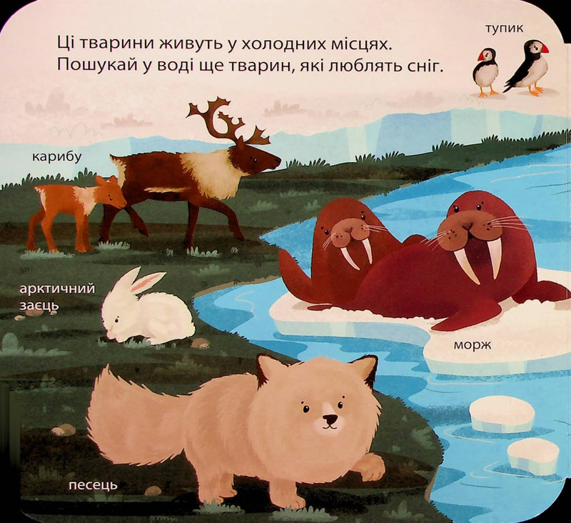 Ілюстрована сторінка дитячої книжки з тваринами Півночі та українськими назвами — дитячі книжки українською | BookCafe