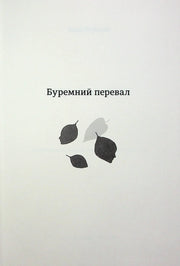 Обкладинка книги «Буремний перевал» з мінімалістичним дизайном та силуетами листя — українська класика | BookCafe