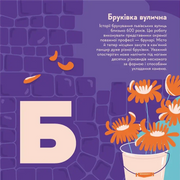 Ілюстрована сторінка дитячої книжки про бруківку з яскравими квітами та великим літером — дитячі книжки українською | BookCafe