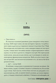 Задня обкладинка книги «Піппа» з описом та ілюстраціями карт таро — карти таро купити | BookCafe