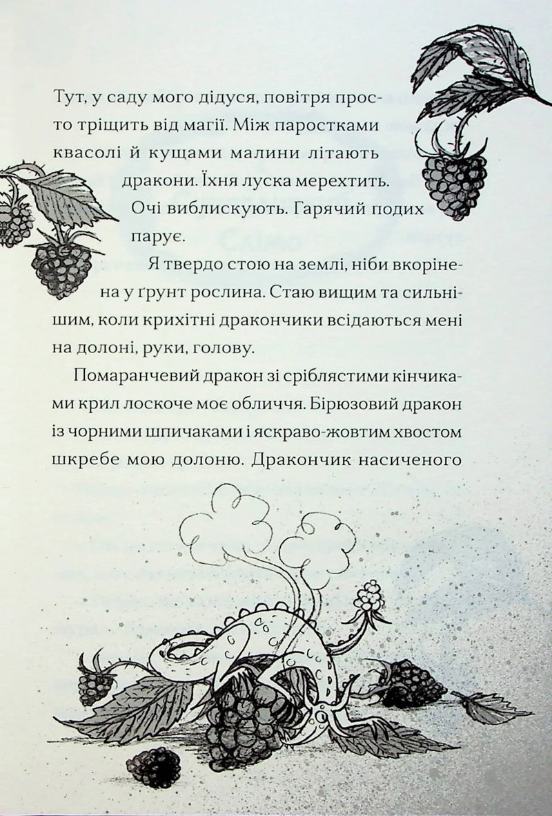 Ілюстрована сторінка української книги з дракончиками та малиною — книга фентезі | BookCafe