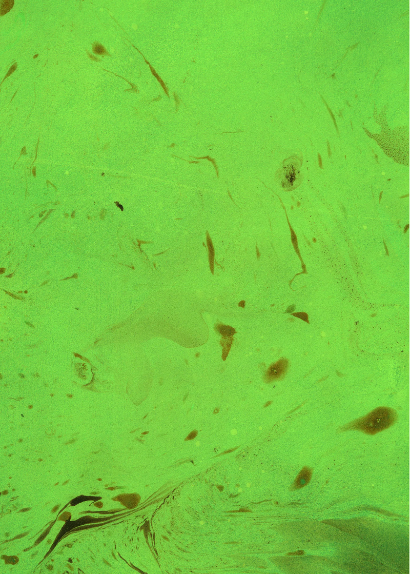 Зелене чаклунство. Як відкрити для себе магію квітів, трав, дерев, кристалів тощо