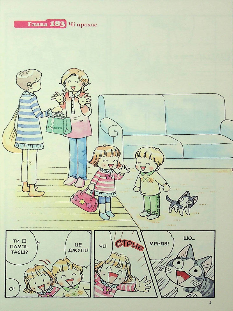 Чі. Життя однієї киці