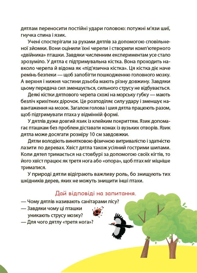 Ілюстрована сторінка дитячої книжки про дятлів з запитаннями та малюнками — дитячі книжки українською | BookCafe