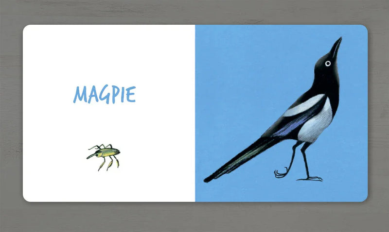 Ілюстрація сороки та комахи з написом «MAGPIE» — дитячі книжки українською | BookCafe