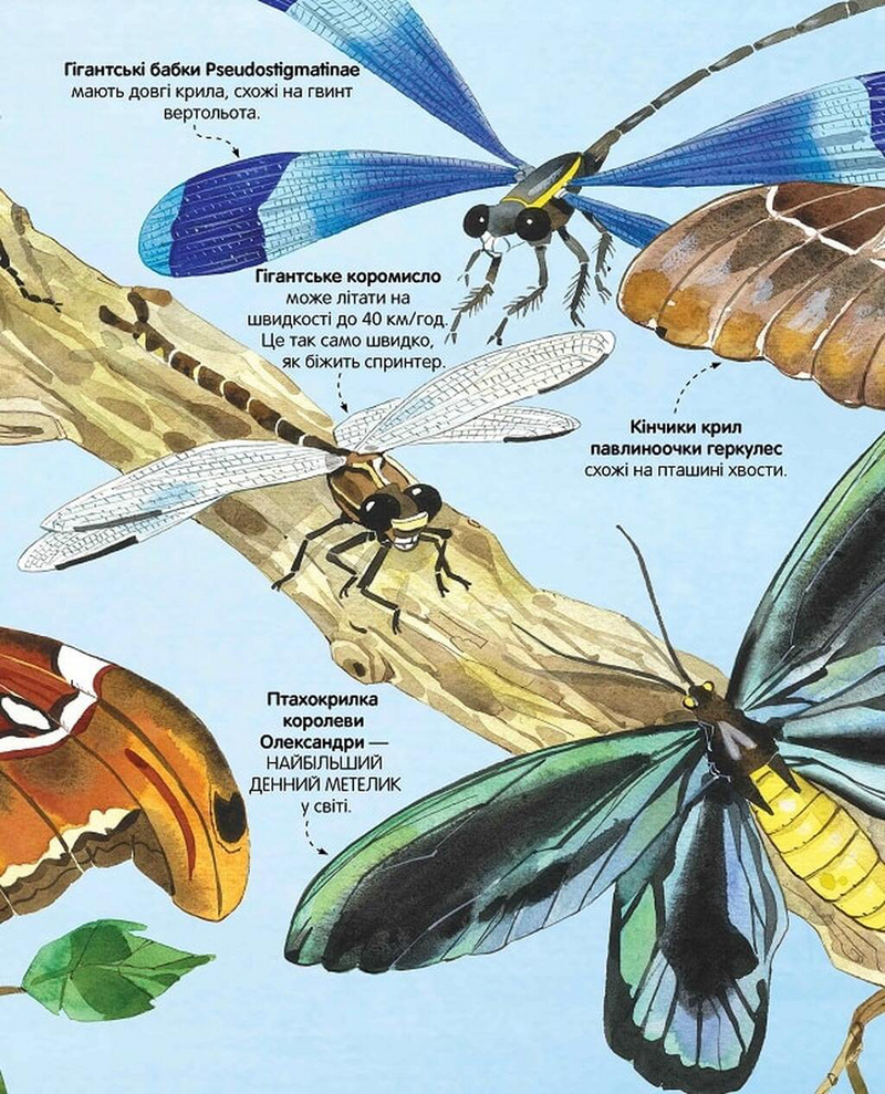 Велика книга комах і не тільки