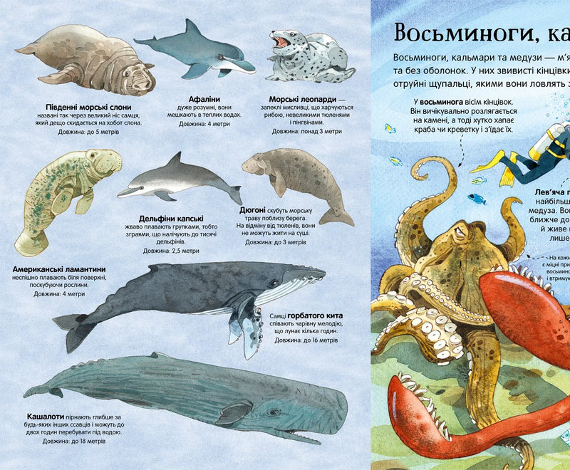 Велика книга морських мешканців
