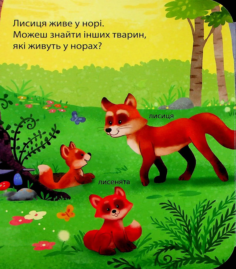 Хто живе у лісі? Зазирни у віконечко
