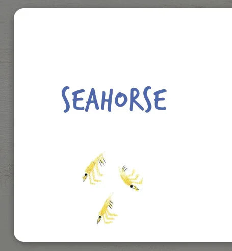 Collect the rainbow. Sea animals