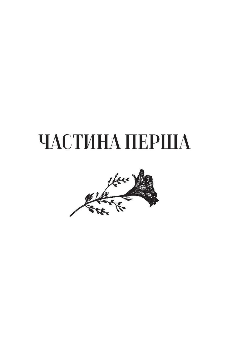 Те, що видно звідси