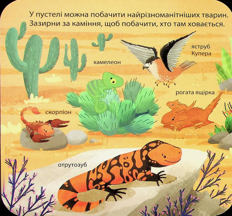 Хто живе в зоопарку? Зазирни у віконечко