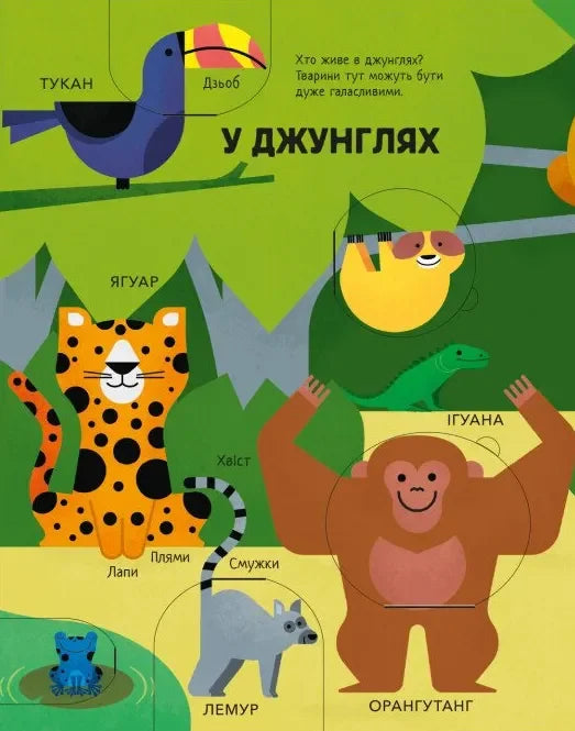 Моя перша книга з віконцями. Тварини