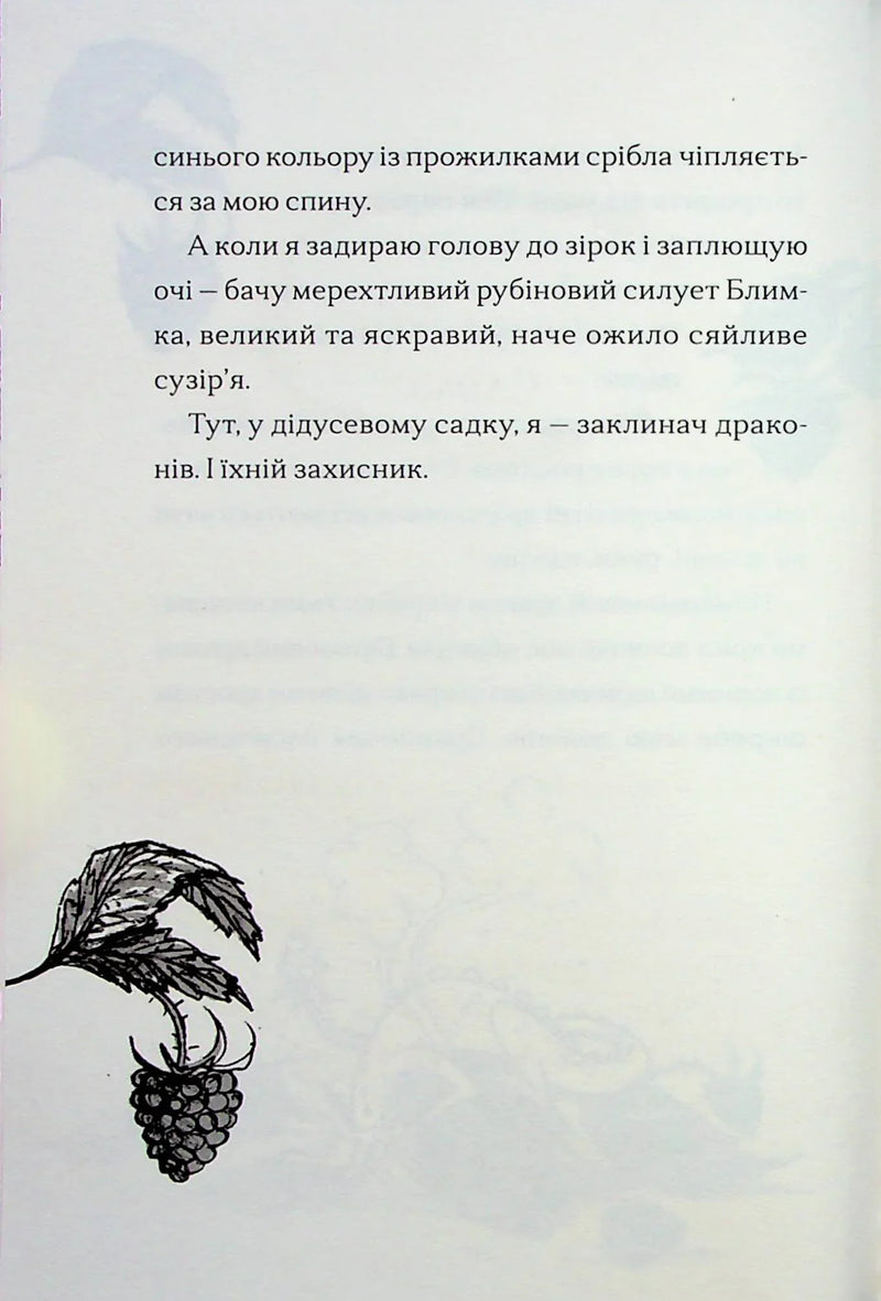 Хлопчик, який співав з драконами. Книга 5