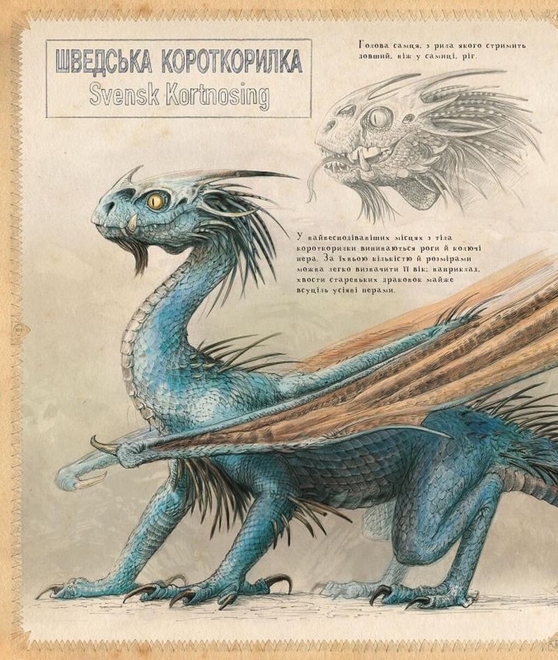 Гаррі Поттер і келих вогню