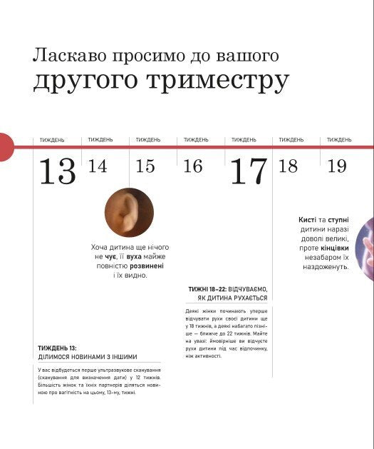 Вагітність день за днем