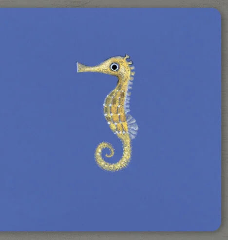 Collect the rainbow. Sea animals