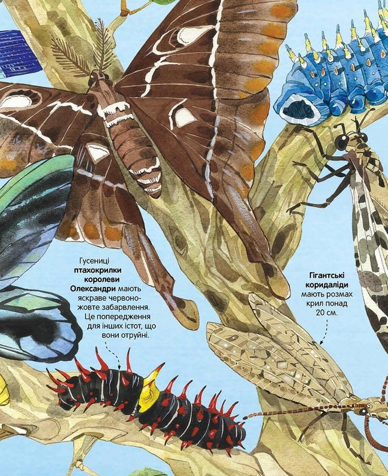 Велика книга комах і не тільки