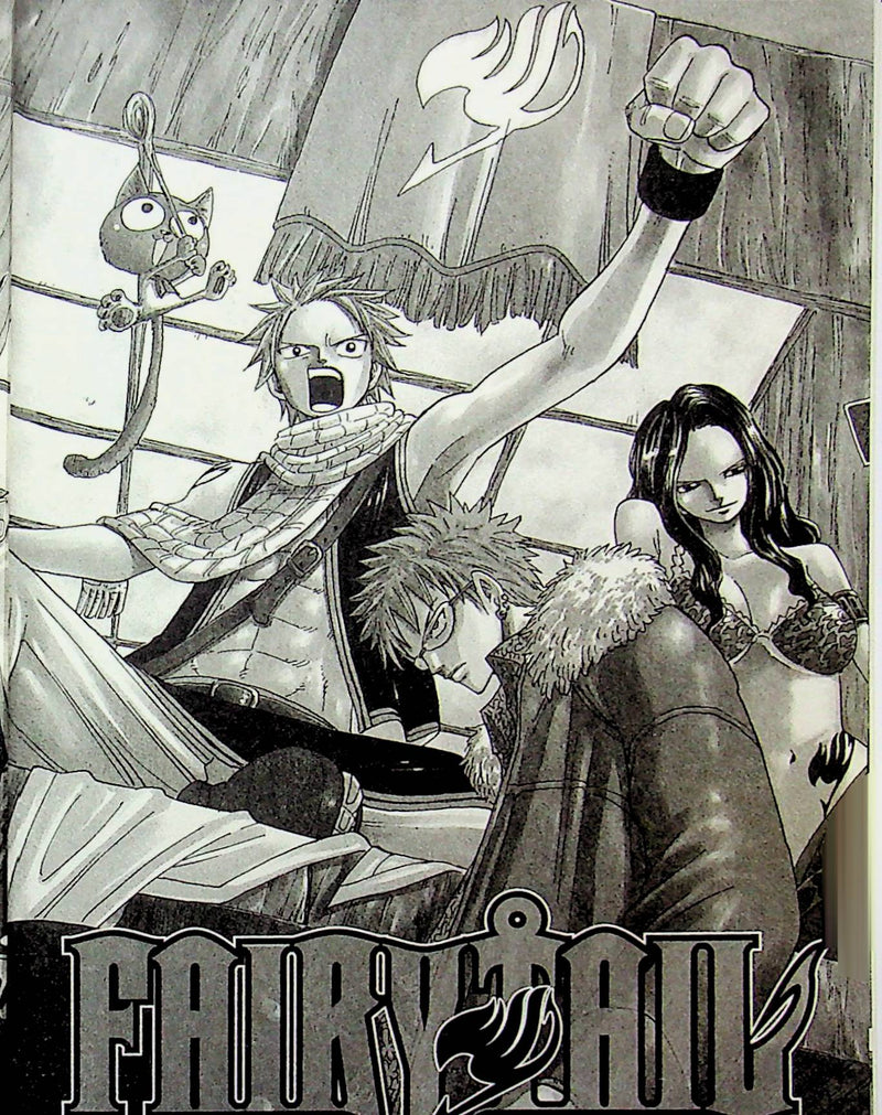 Fairy Tail. Том 1