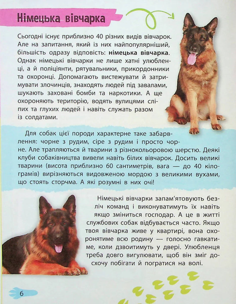 Мініенциклопедія. Хатні улюбленці