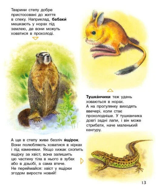 Енциклопедія дошкільника. Україна