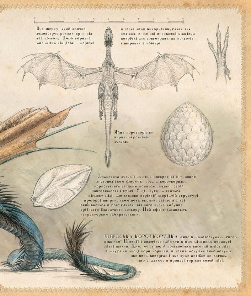 Гаррі Поттер і келих вогню