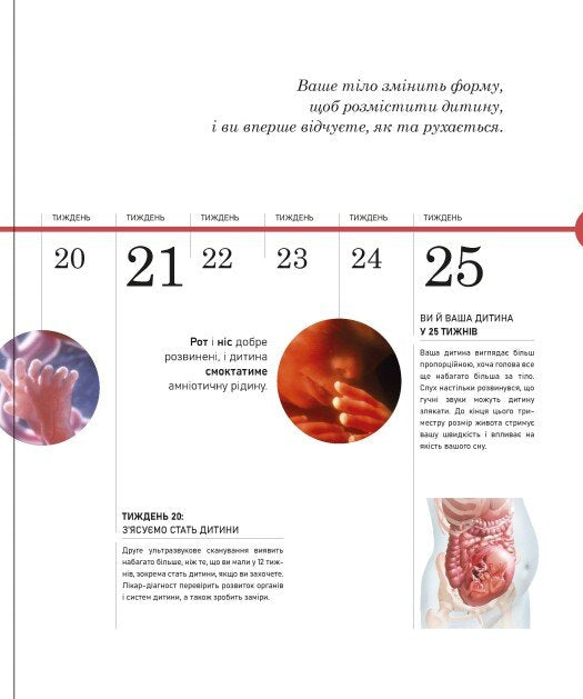 Вагітність день за днем