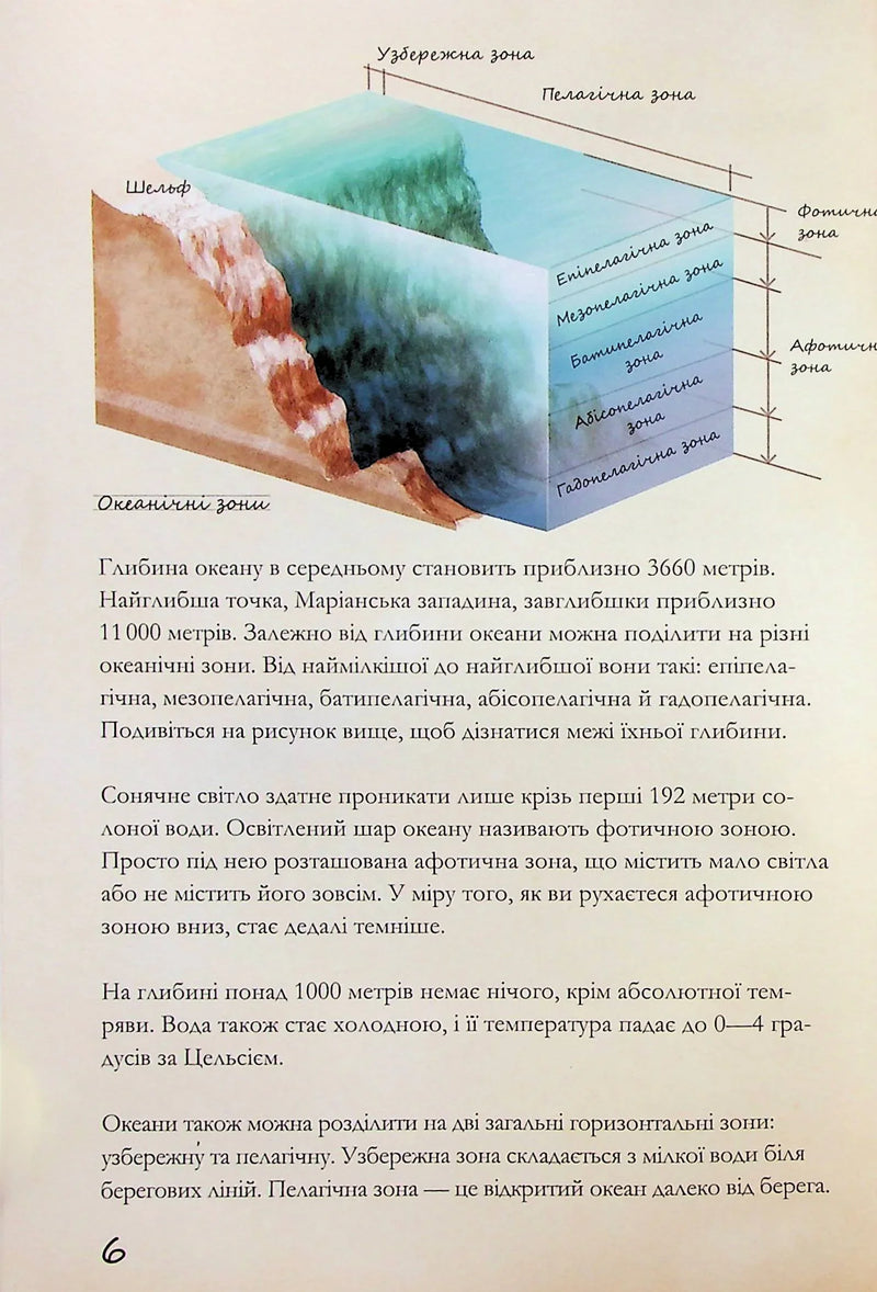 Морські тварини світу