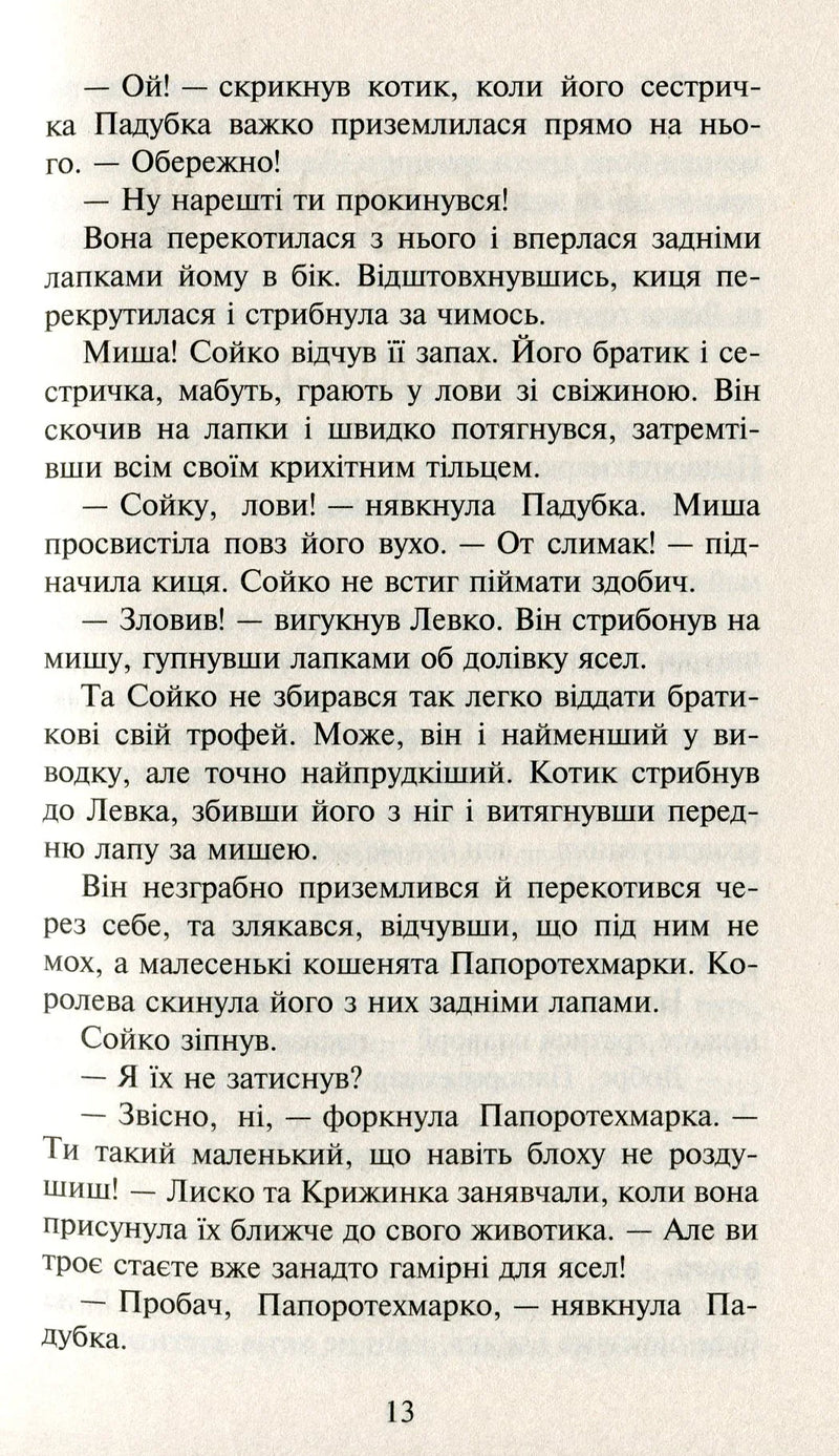 Коти-вояки. Сила трьох. Книга 1. Прозірa