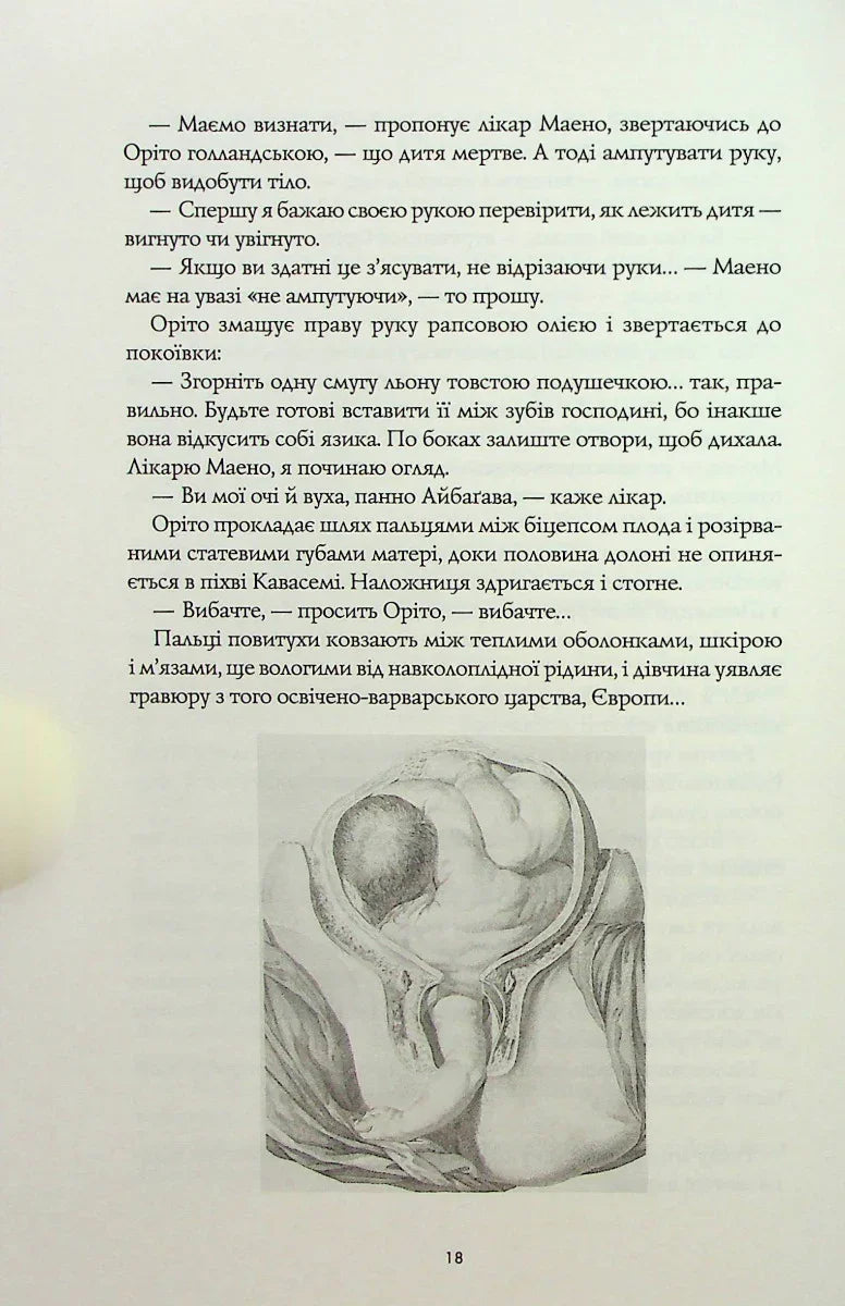 Тисяча осеней Якоба де Зута