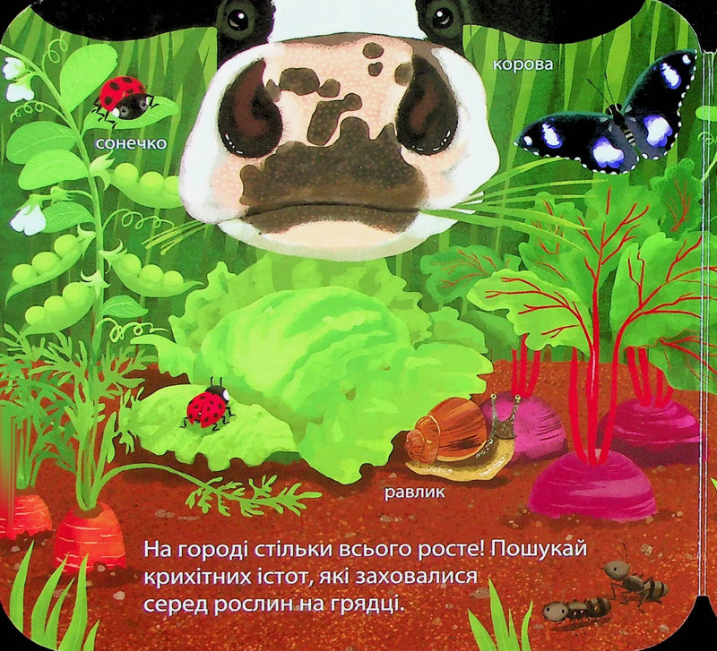 Хто живе на фермі? Зазирни у віконечко