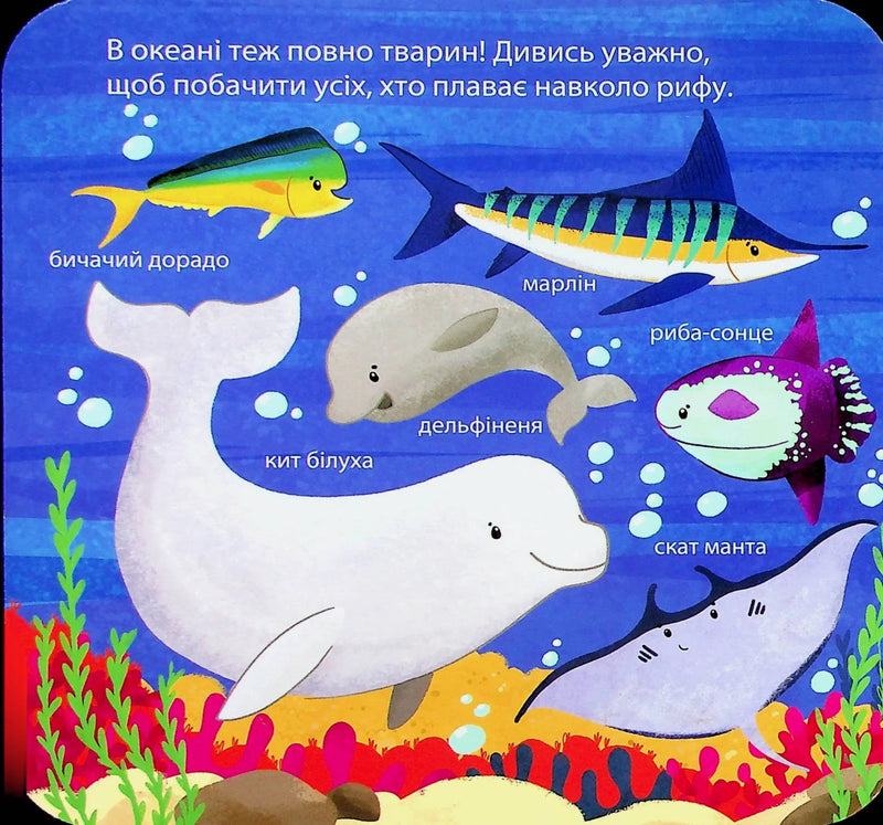 Хто живе в зоопарку? Зазирни у віконечко