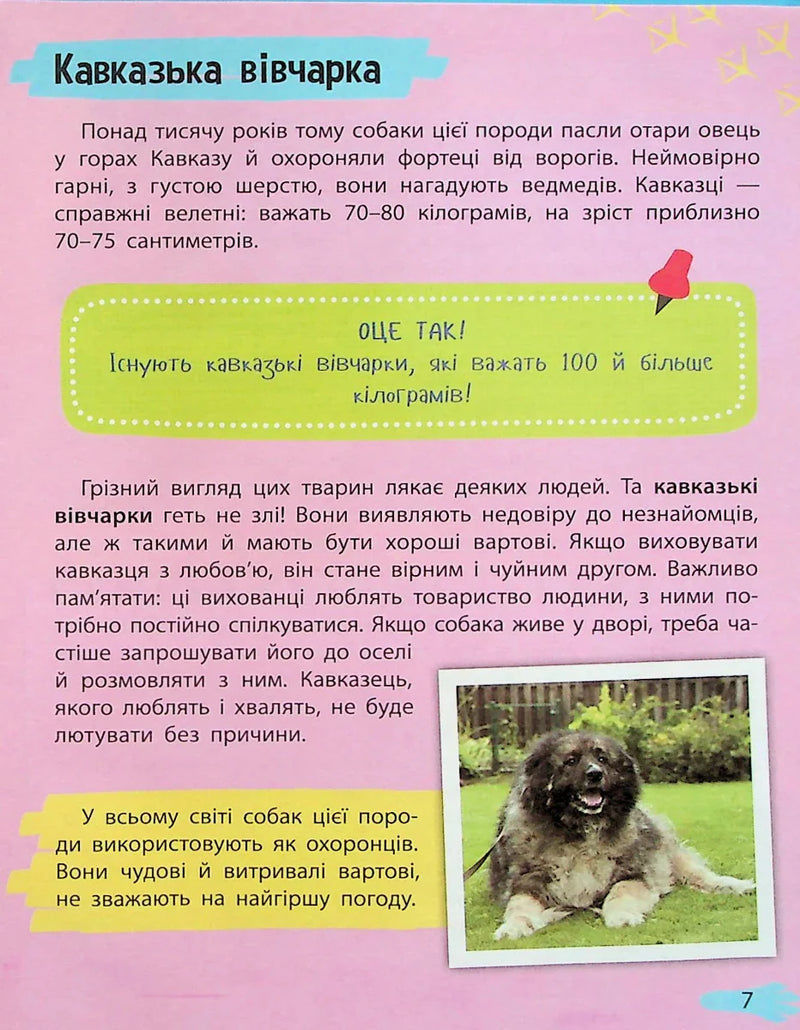 Мініенциклопедія. Хатні улюбленці