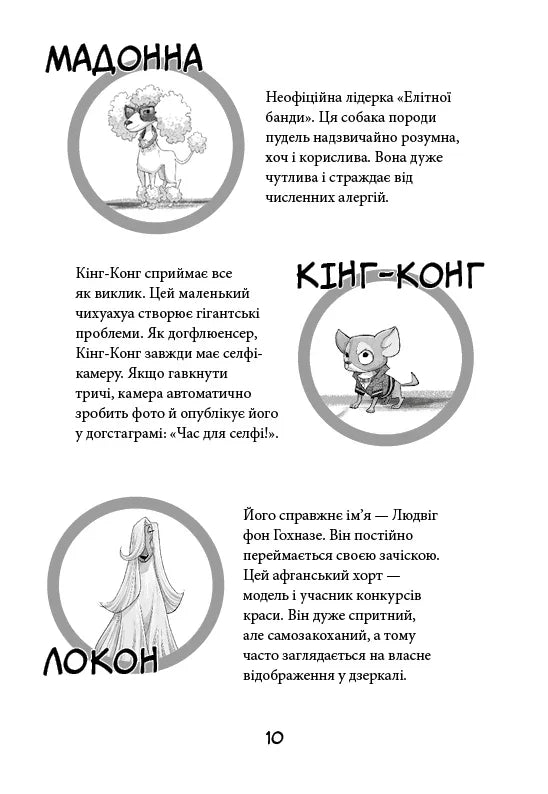 Лапа лапу миє