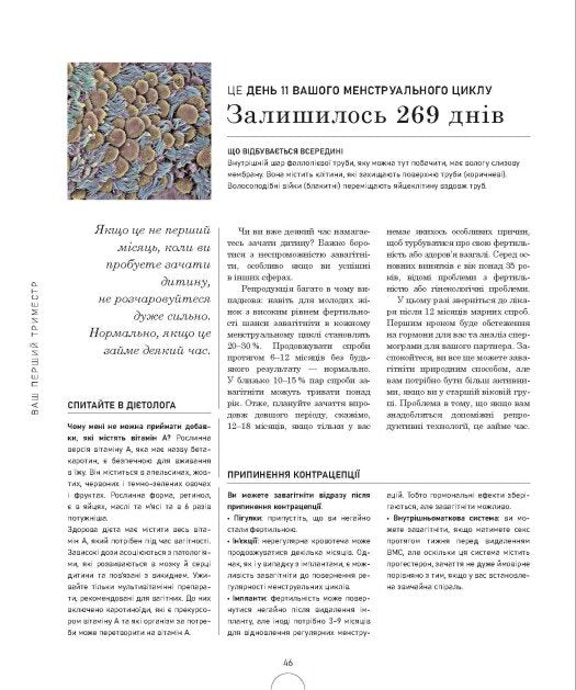 Вагітність день за днем