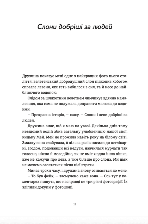 Спорудження мосту