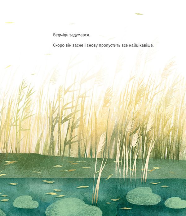 Ведмідь не хоче спати