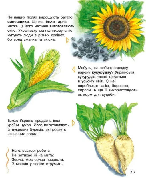 Енциклопедія дошкільника. Україна