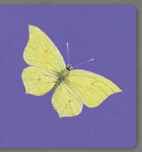 Collect the rainbow. Insects