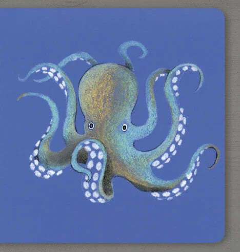 Collect the rainbow. Sea animals