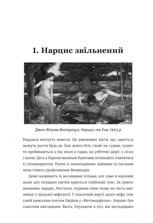 Нарцис у розквіті. Альтернативна історія селфі