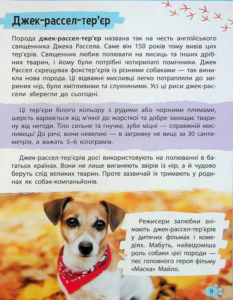 Мініенциклопедія. Хатні улюбленці