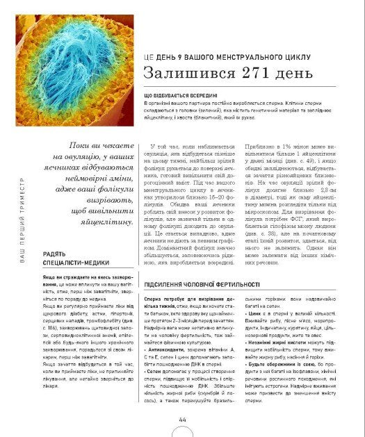 Вагітність день за днем